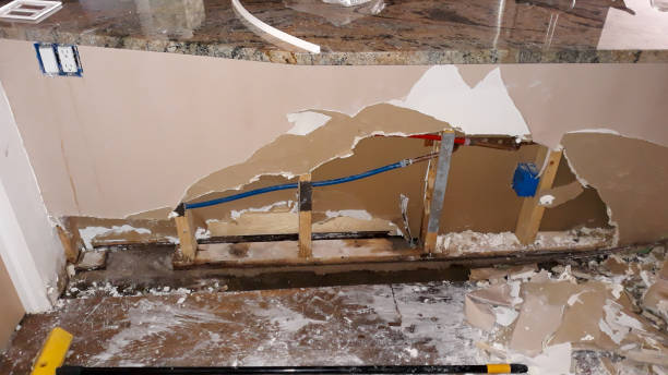 Best Water damage cleanup near me  in Fredericktown, MO