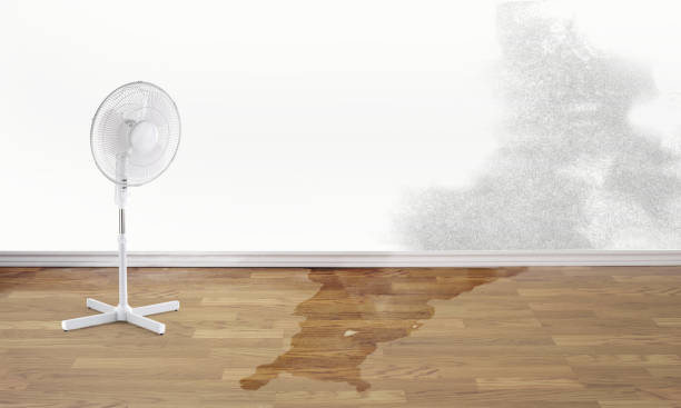 Best Water damage repair service  in Fredericktown, MO