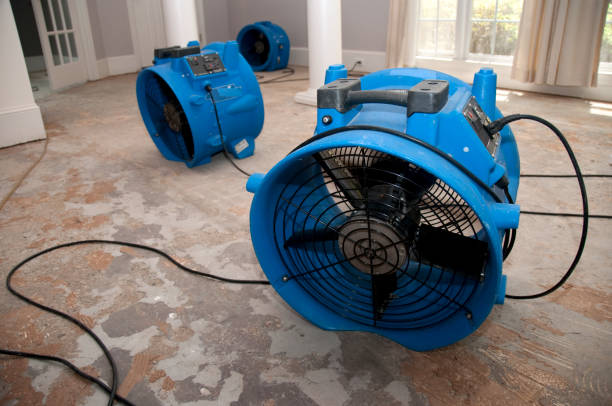 Best Water damage restoration near me  in Fredericktown, MO