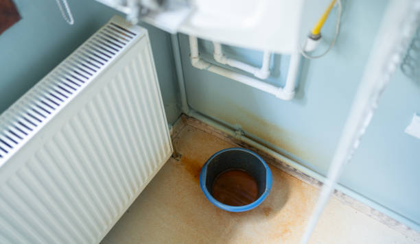 Best Ceiling water damage repair  in Fredericktown, MO