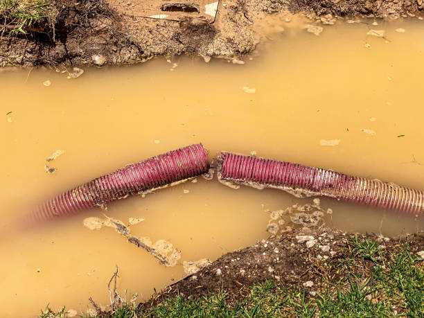 Best Water damage contractors near me  in Fredericktown, MO