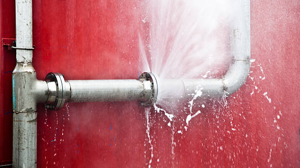 Best Water damage restoration services  in Fredericktown, MO