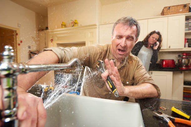 Best Professional water damage repair  in Fredericktown, MO